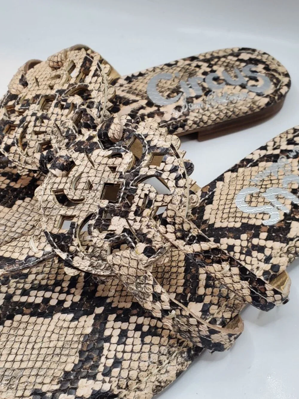 Circus by Sam Edelman Snakeskin Size 8 Slide Sandals
